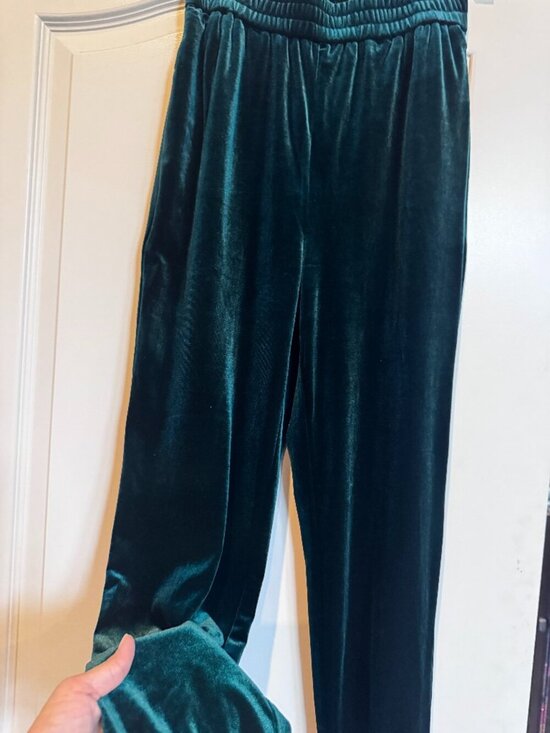 Skies Are Blue Pants - Skies Are Blue NWT Emerald Green Velvet Jogger Pants XS